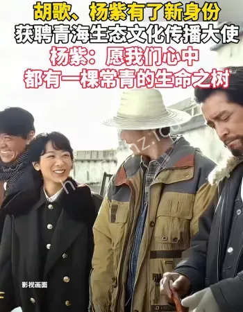 胡歌杨紫有了新身份